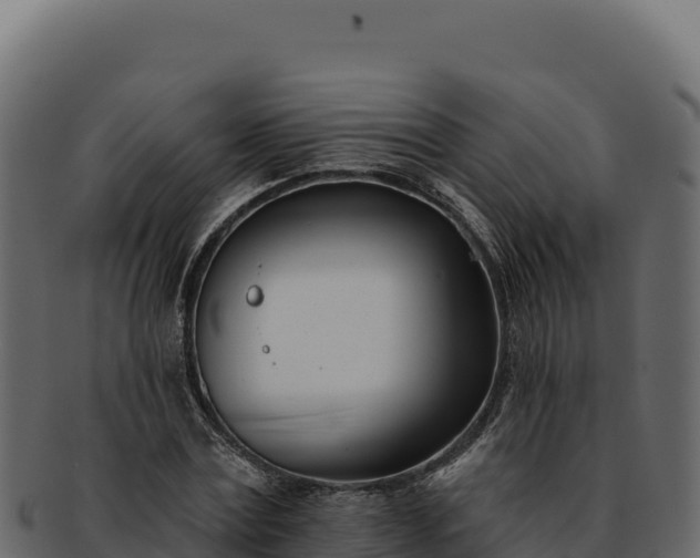 X0000092300779200710041447