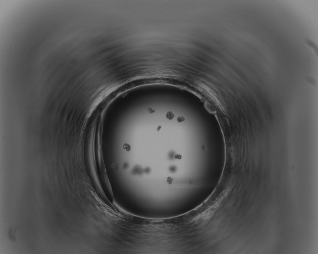 X0000092300781200710041446