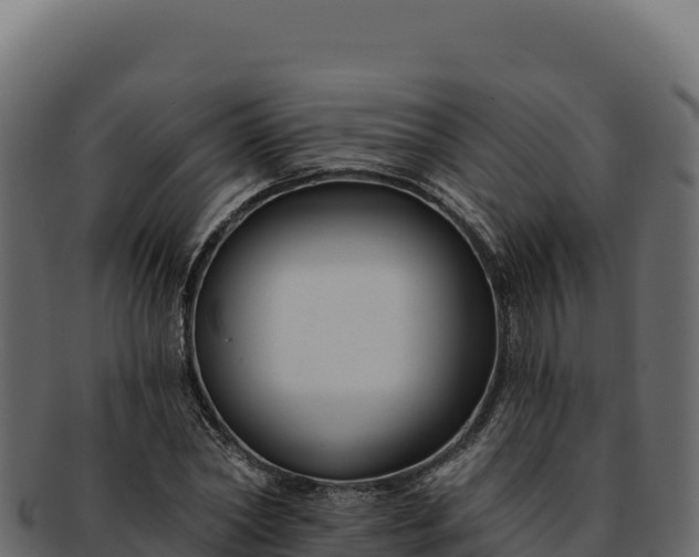 X0000092300782200710041446