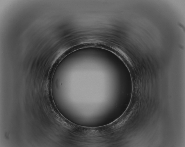 X0000092300783200710041446