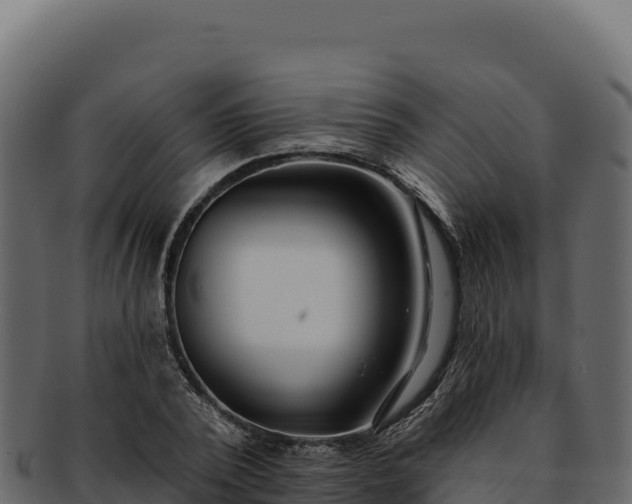 X0000092300784200710041446