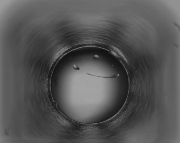 X0000092300786200710041446