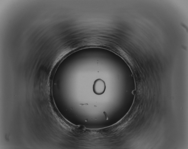 X0000092300787200710041446