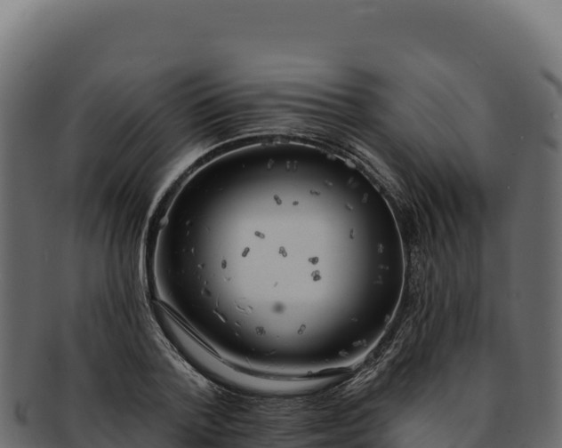 X0000092300788200710041446