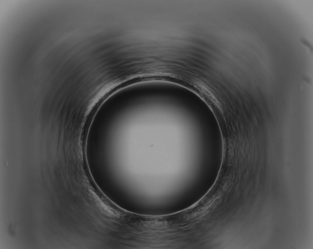 X0000092300789200710041446