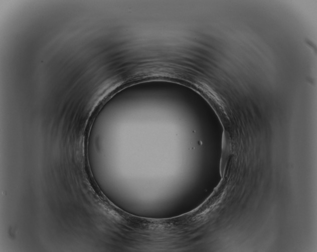 X0000092300790200710041446