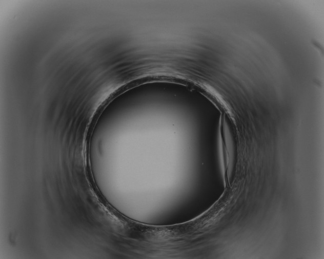 X0000092300791200710041446