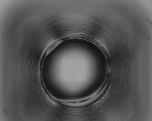 X0000092300792200710041446