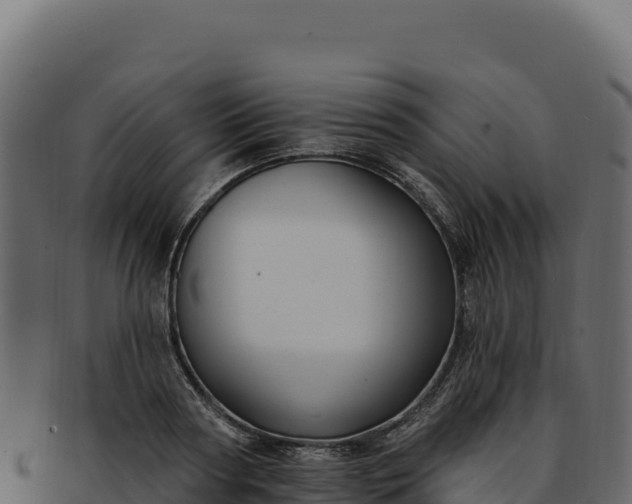 X0000092300794200710041446