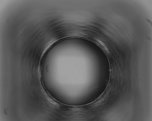 X0000092300796200710041446