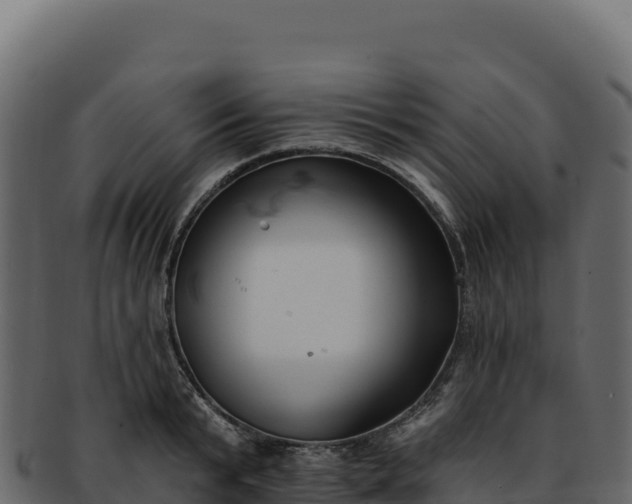 X0000092300799200710041446