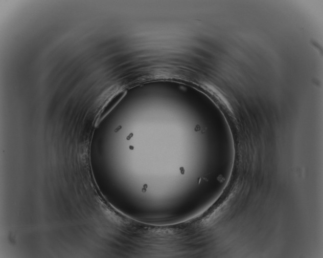 X0000092300801200710041446