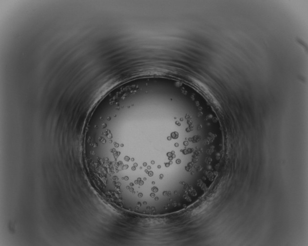 X0000092300802200710041446