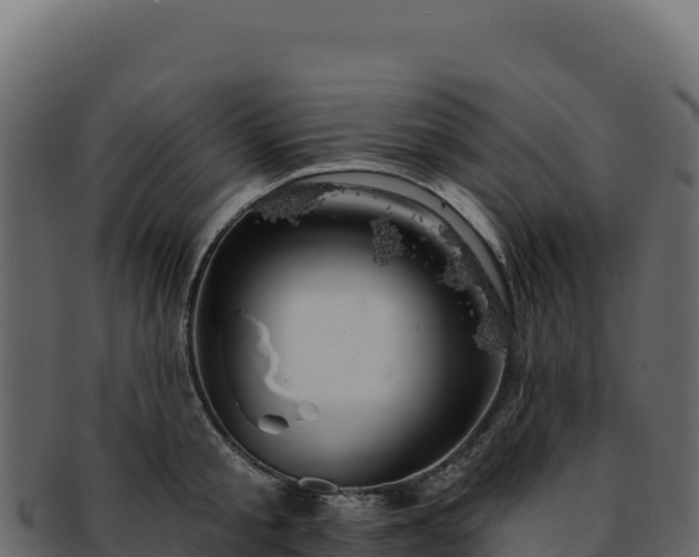 X0000092300805200710041446