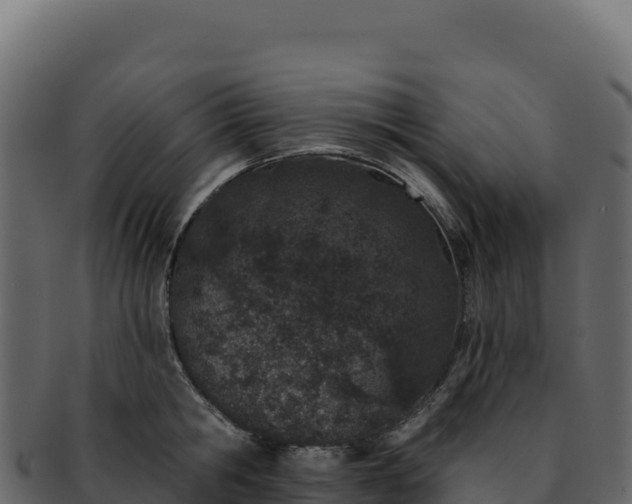 X0000092300806200710041446