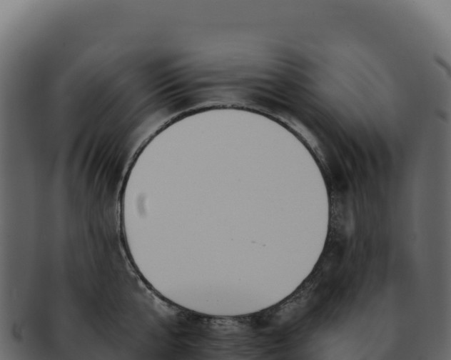 X0000092300807200710041446