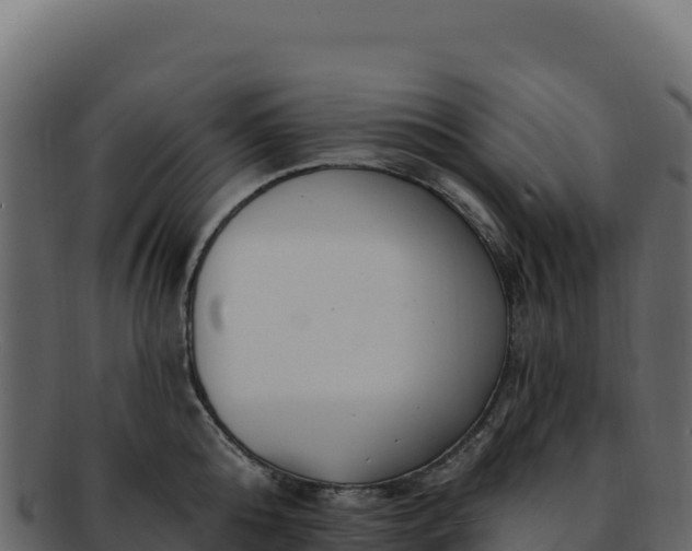 X0000092300808200710041446