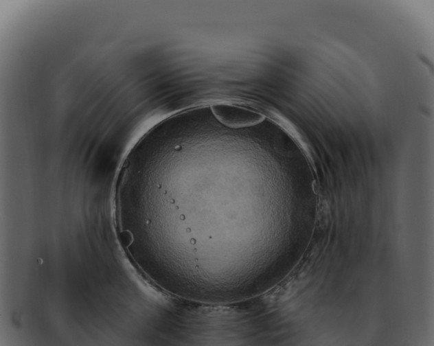 X0000092300811200710041446