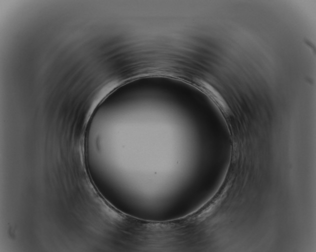 X0000092300812200710041446