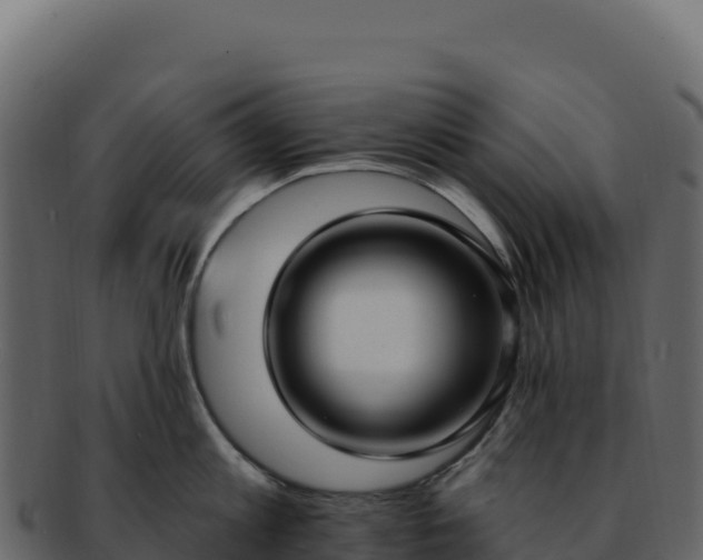 X0000092300813200710041446