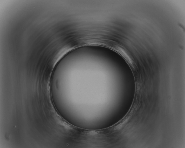 X0000092300814200710041446