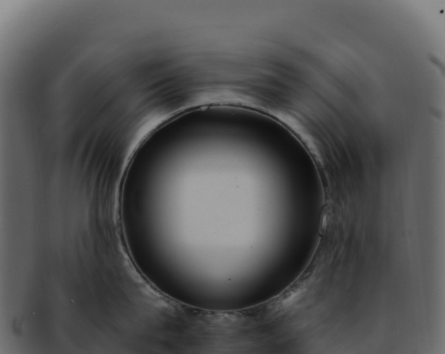 X0000092300815200710041446