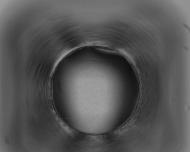 X0000092300816200710041446