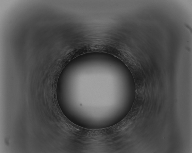 X0000092300817200710041446