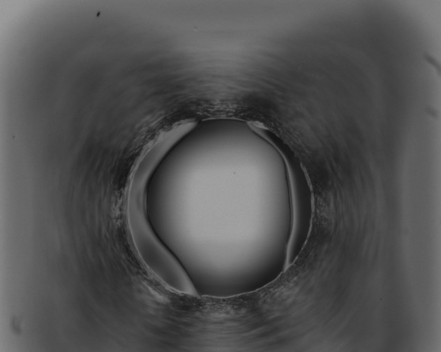 X0000092300818200710041446