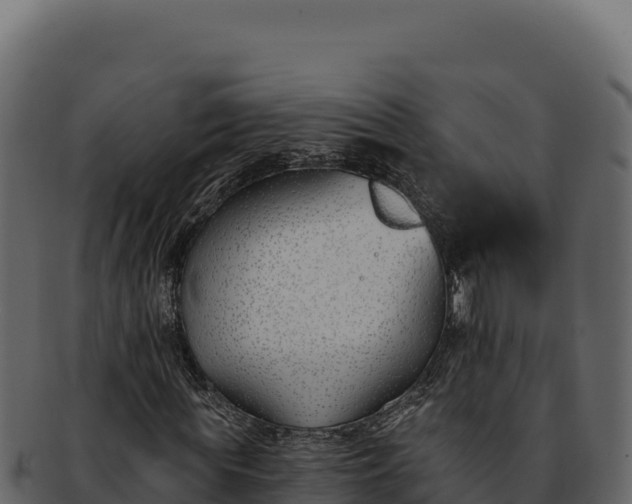 X0000092300819200710041446