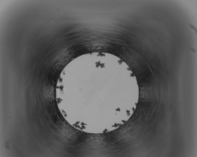 X0000092300820200710041446