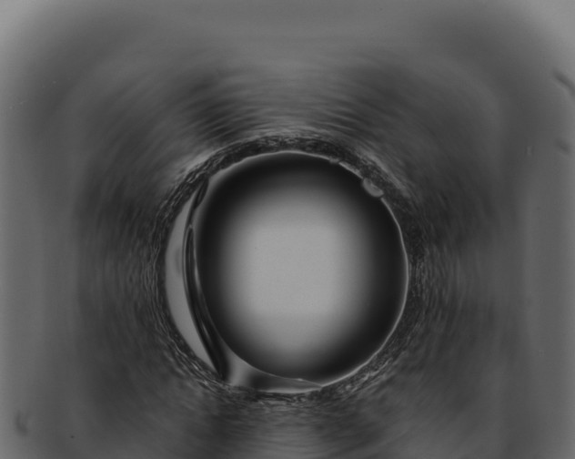 X0000092300822200710041446