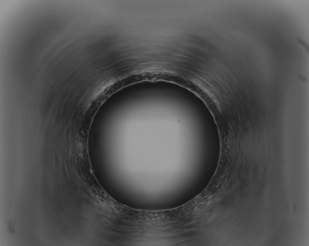 X0000092300823200710041446