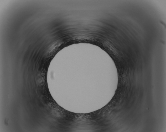 X0000092300824200710041446