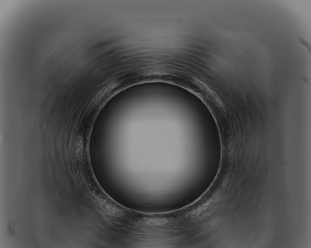 X0000092300825200710041446