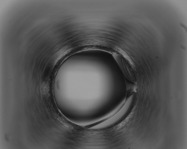 X0000092300826200710041446