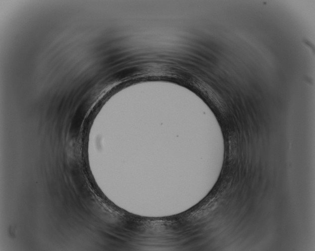 X0000092300828200710041446