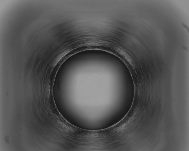 X0000092300829200710041446