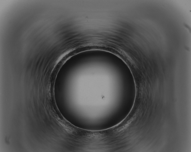 X0000092300830200710041446