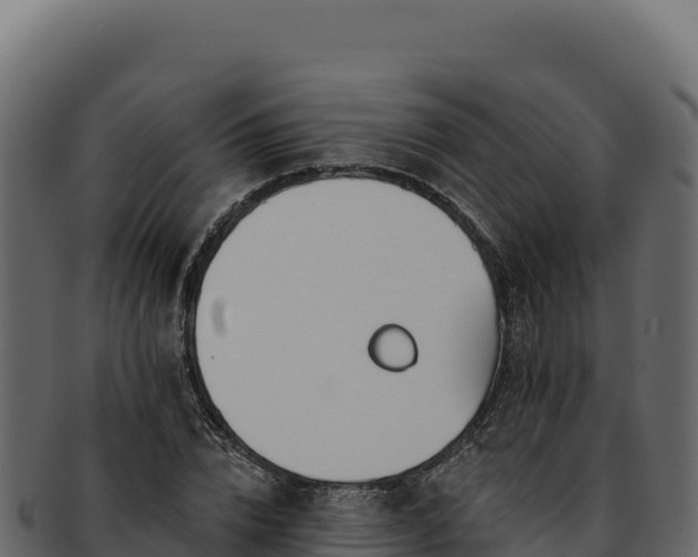 X0000092300832200710041446