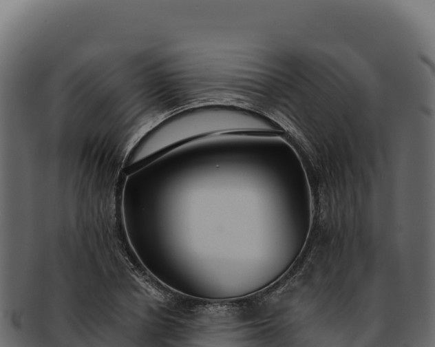 X0000092300834200710041446