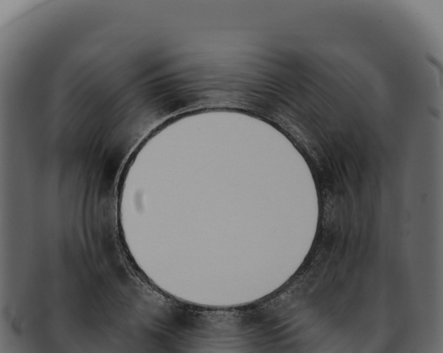 X0000092300836200710041446