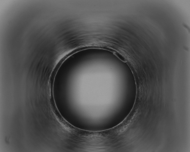 X0000092300838200710041446