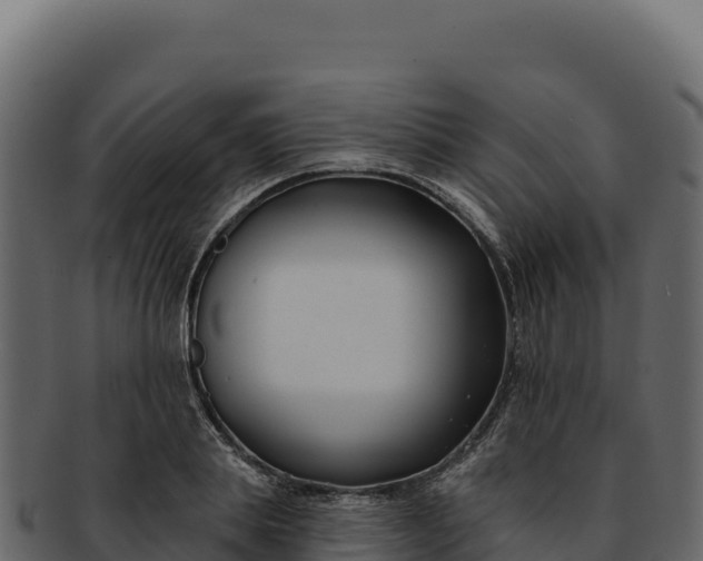 X0000092300839200710041446