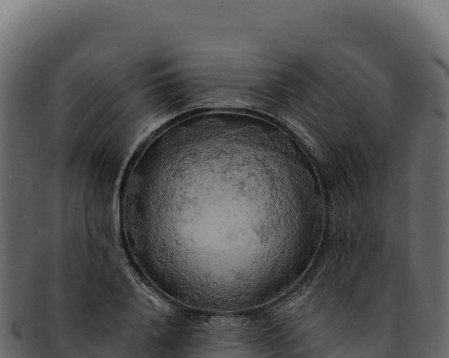 X0000092300840200710041446