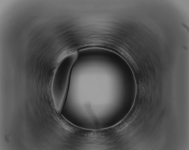 X0000092300842200710041446