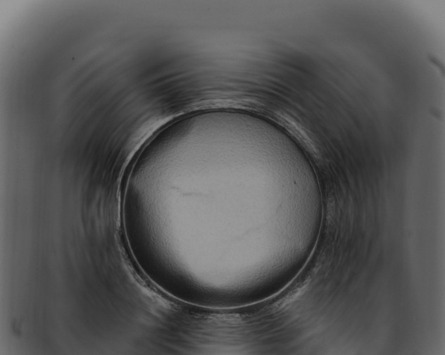 X0000092300844200710041446