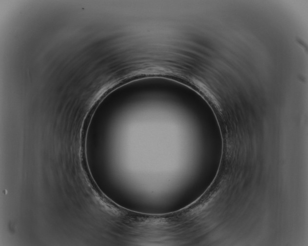 X0000092300845200710041446