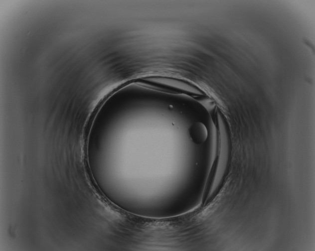 X0000092300846200710041446