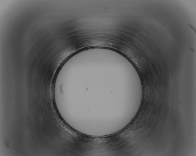 X0000092300848200710041446